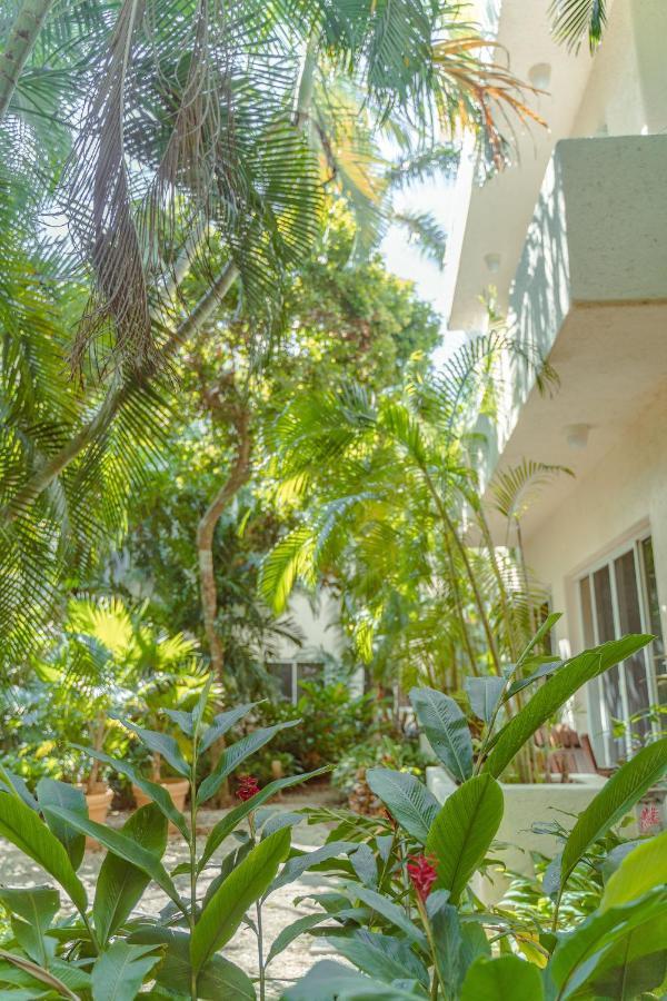 Spectacular Ph In Playacar - Private Rooftop, Pool By Yeah *