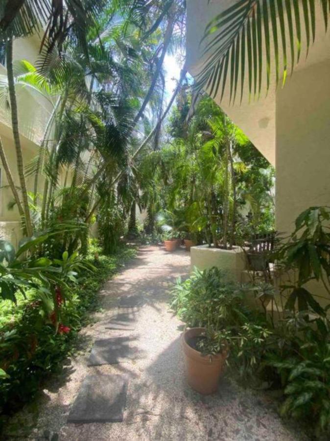 Spectacular Ph In Playacar - Private Rooftop, Pool By Yeah