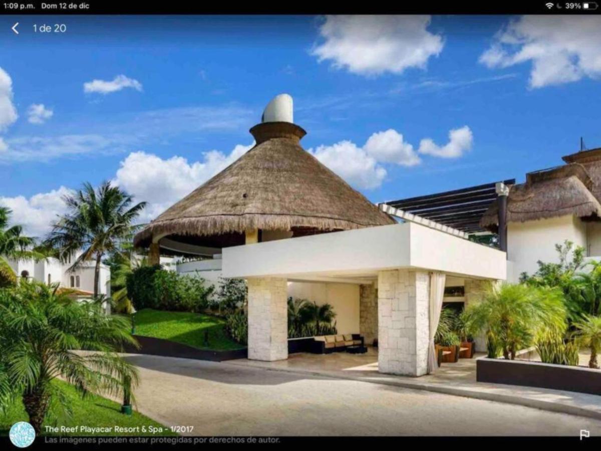 Spectacular Ph In Playacar - Private Rooftop, Pool By Yeah